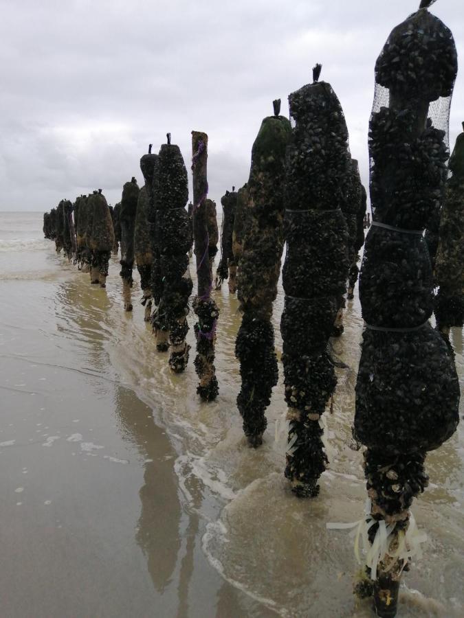 Le Cocon Des Dunes กองด์ ภายนอก รูปภาพ